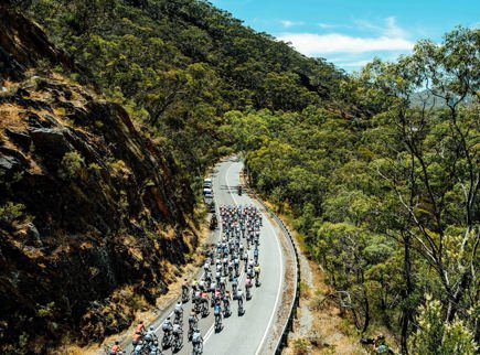 An image of cyclists doing the Tour Down Under ride