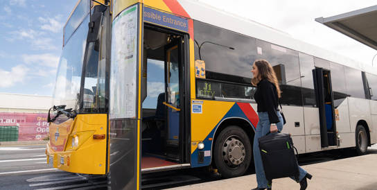 Bus