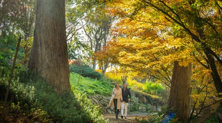 Adelaide Botanic Gardens